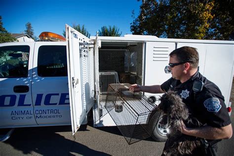 stanislaus animal services agency|stanislaus animal services agency photos.